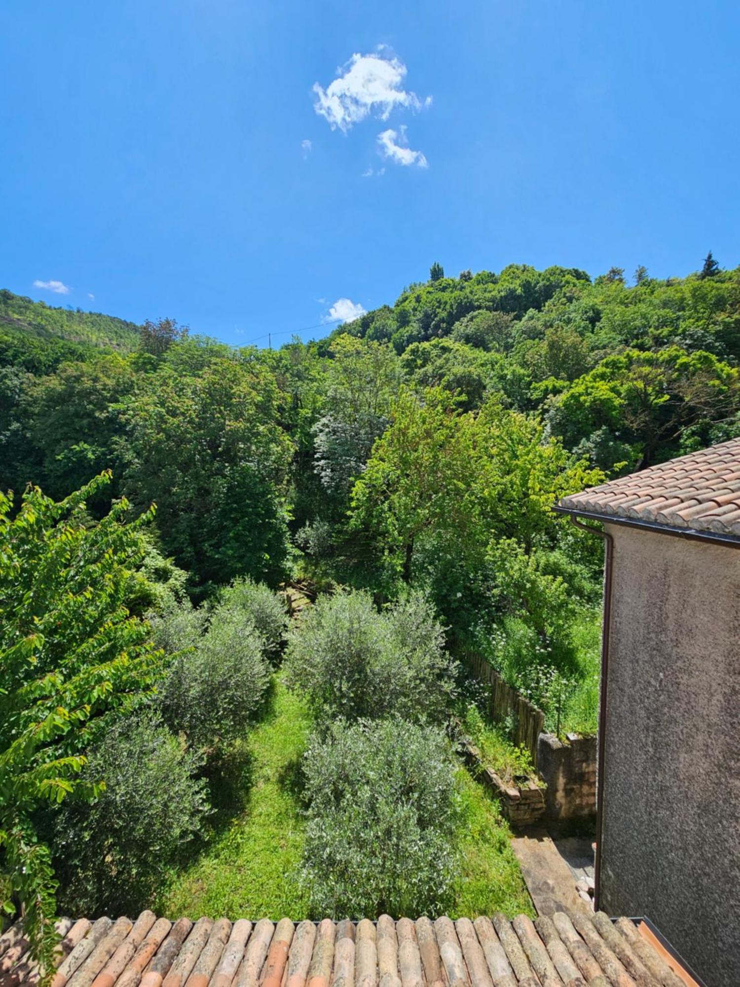 La Rosa Dei Venti - Country House Fossato di Vico Exteriör bild